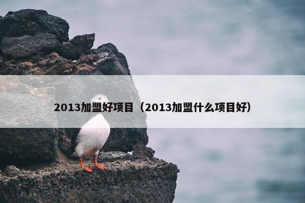 2013加盟好项目（2013加盟什么项目好）