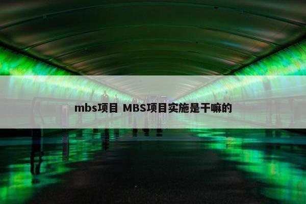 mbs项目 MBS项目实施是干嘛的