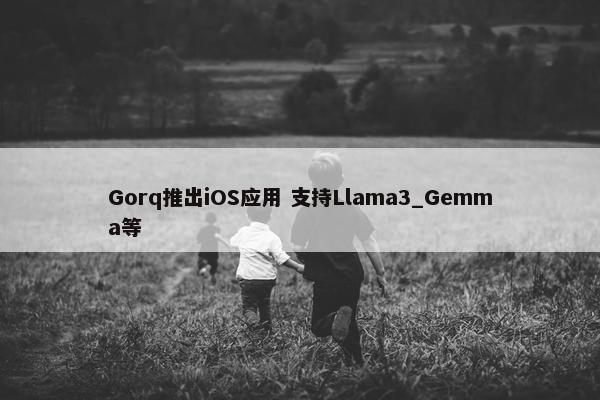 Gorq推出iOS应用 支持Llama3_Gemma等