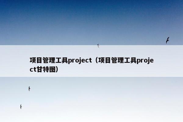 项目管理工具project（项目管理工具project甘特图）