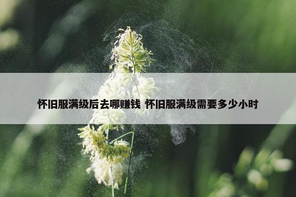 怀旧服满级后去哪赚钱 怀旧服满级需要多少小时