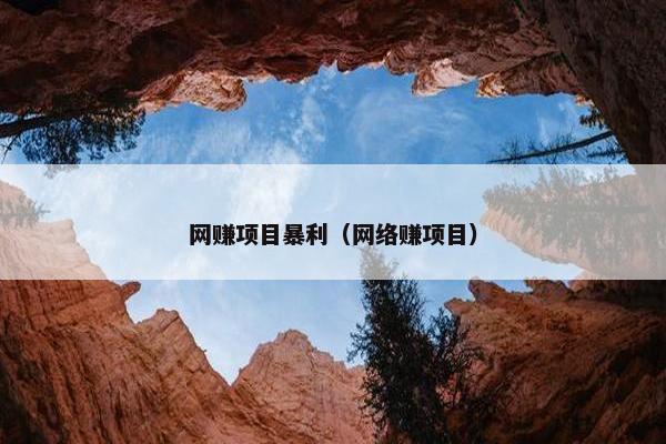 网赚项目暴利（网络赚项目）