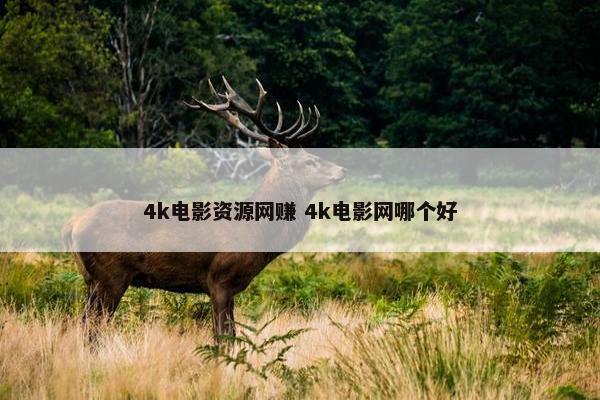 4k电影资源网赚 4k电影网哪个好