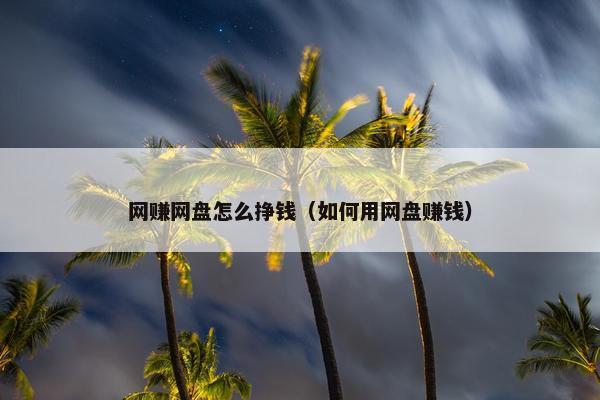 网赚网盘怎么挣钱（如何用网盘赚钱）