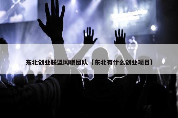 东北创业联盟网赚团队（东北有什么创业项目）