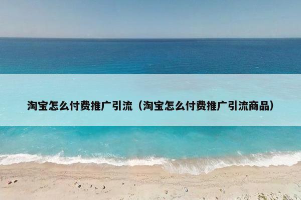 淘宝怎么付费推广引流（淘宝怎么付费推广引流商品）