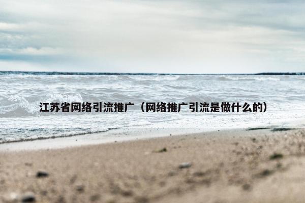 江苏省网络引流推广（网络推广引流是做什么的）