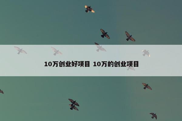 10万创业好项目 10万的创业项目