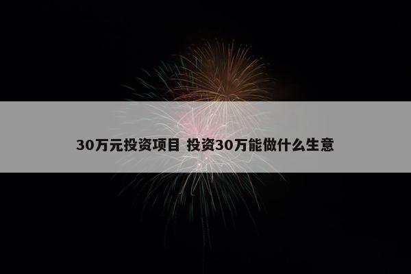 30万元投资项目 投资30万能做什么生意