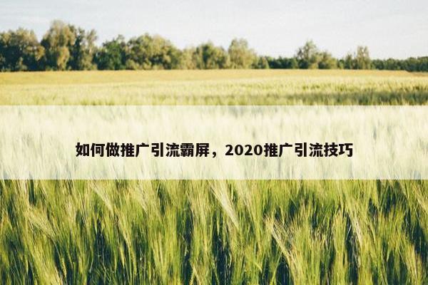 如何做推广引流霸屏，2020推广引流技巧