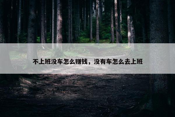 不上班没车怎么赚钱，没有车怎么去上班