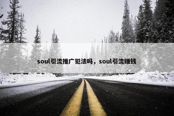 soul引流推广犯法吗，soul引流赚钱