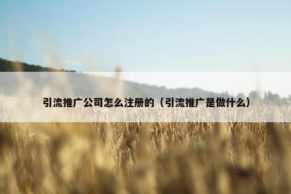 引流推广公司怎么注册的（引流推广是做什么）