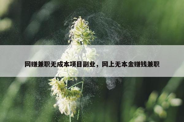 网赚兼职无成本项目副业，网上无本金赚钱兼职