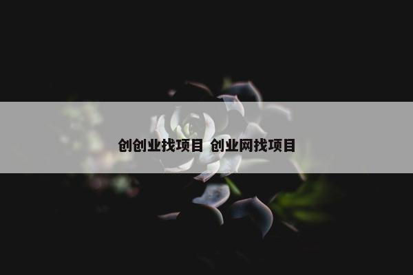 创创业找项目 创业网找项目