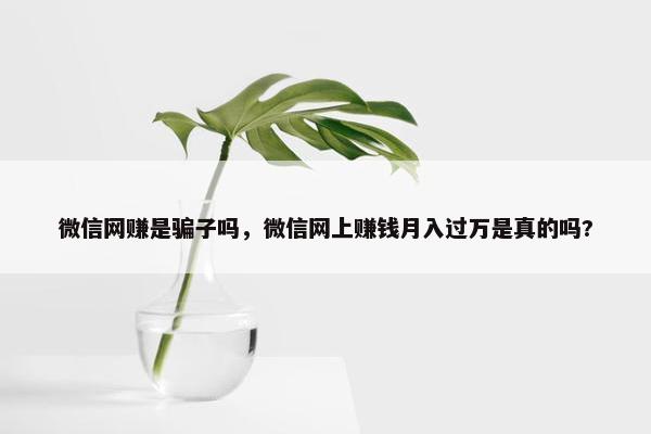 微信网赚是骗子吗，微信网上赚钱月入过万是真的吗?