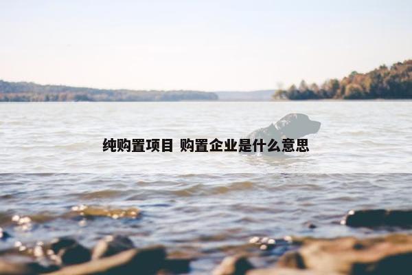 纯购置项目 购置企业是什么意思