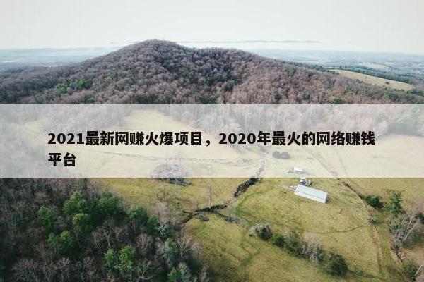 2021最新网赚火爆项目，2020年最火的网络赚钱平台