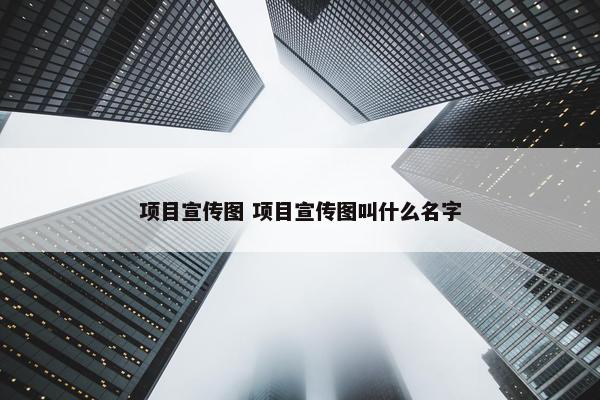 项目宣传图 项目宣传图叫什么名字