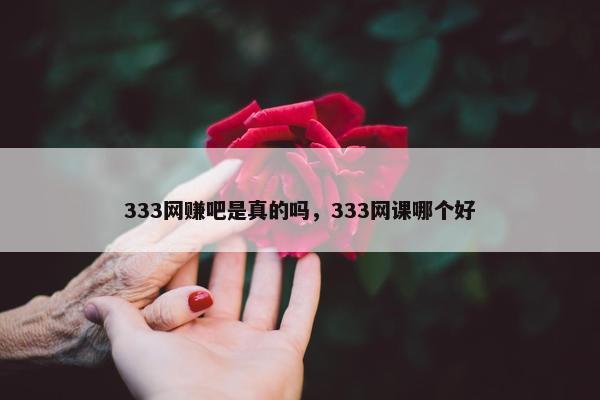 333网赚吧是真的吗，333网课哪个好