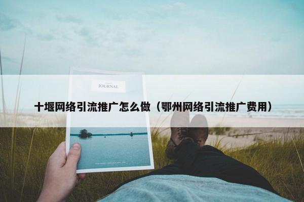 十堰网络引流推广怎么做（鄂州网络引流推广费用）