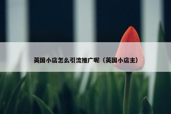 英国小店怎么引流推广呢（英国小店主）