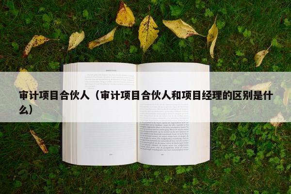 审计项目合伙人（审计项目合伙人和项目经理的区别是什么）