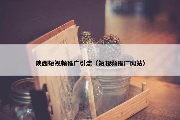 陕西短视频推广引流（短视频推广网站）