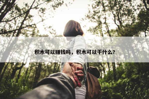 积木可以赚钱吗，积木可以干什么?