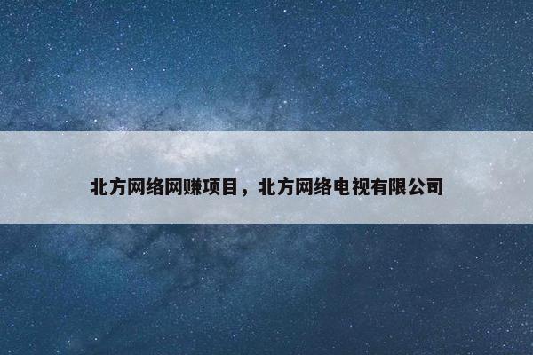 北方网络网赚项目，北方网络电视有限公司