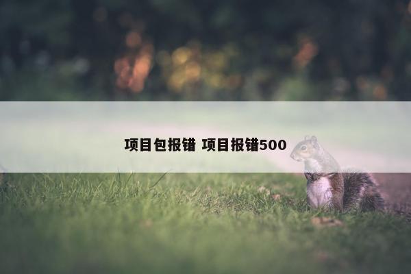 项目包报错 项目报错500