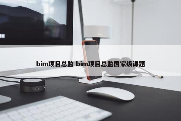 bim项目总监 bim项目总监国家级课题