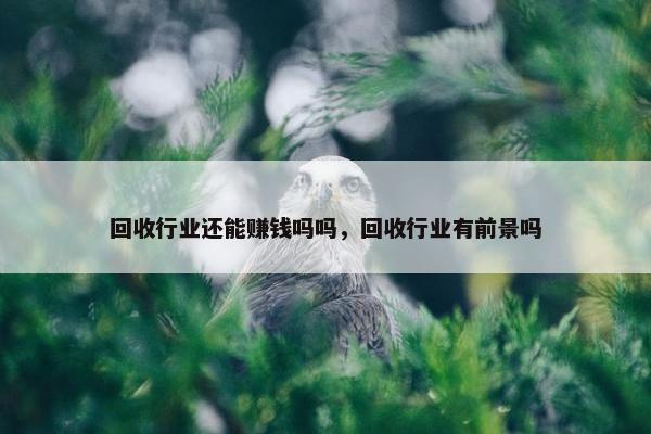 回收行业还能赚钱吗吗，回收行业有前景吗