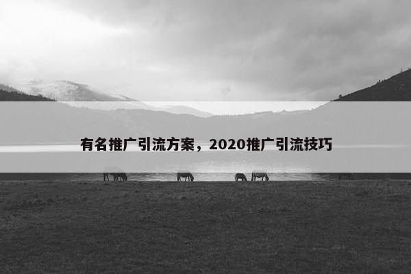 有名推广引流方案，2020推广引流技巧