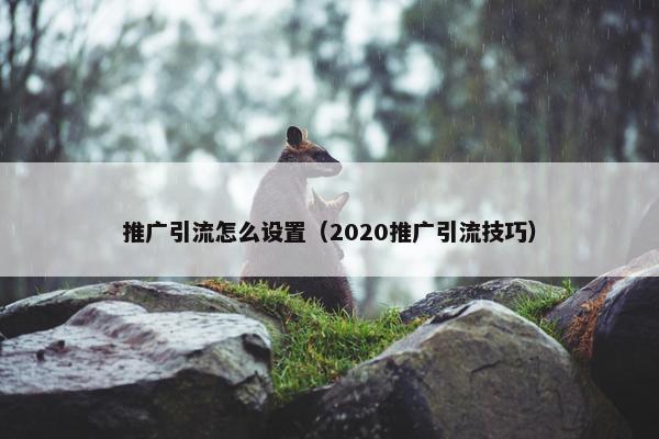 推广引流怎么设置（2020推广引流技巧）