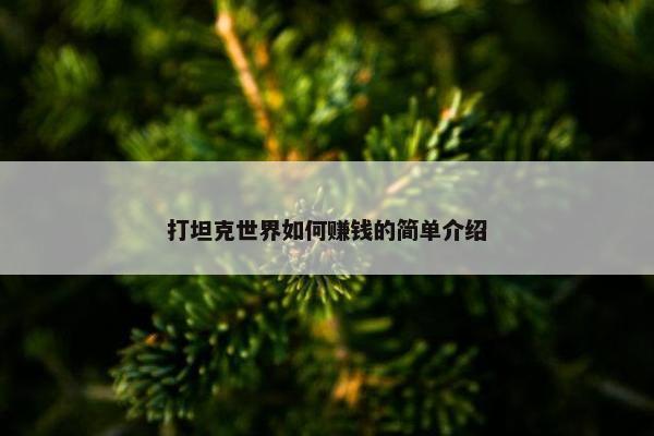 打坦克世界如何赚钱的简单介绍