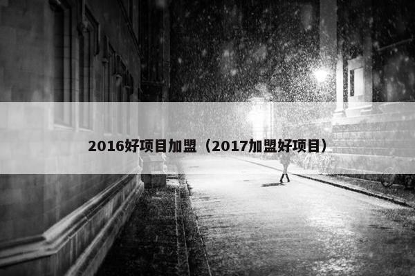 2016好项目加盟（2017加盟好项目）