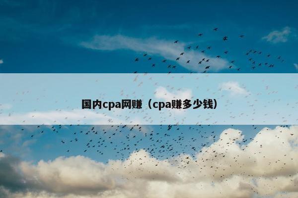 国内cpa网赚（cpa赚多少钱）